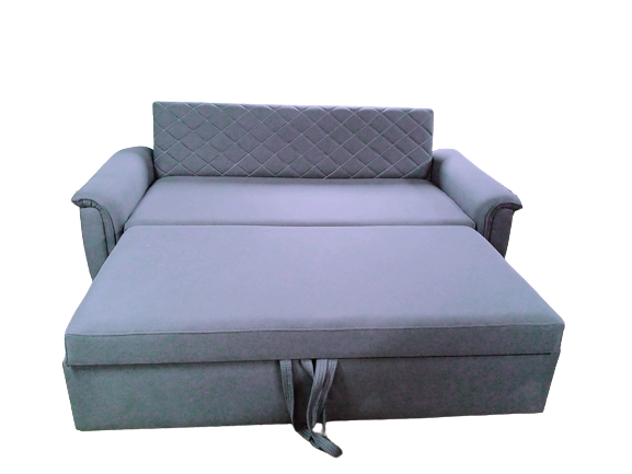 Simple design sofa cum bed